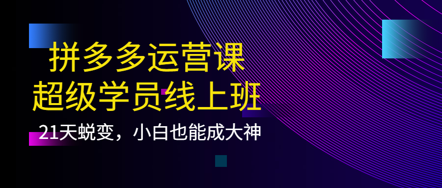 拼多多运营课：超级学员线上班，21天蜕变，小白也能成大神-云阁资源网