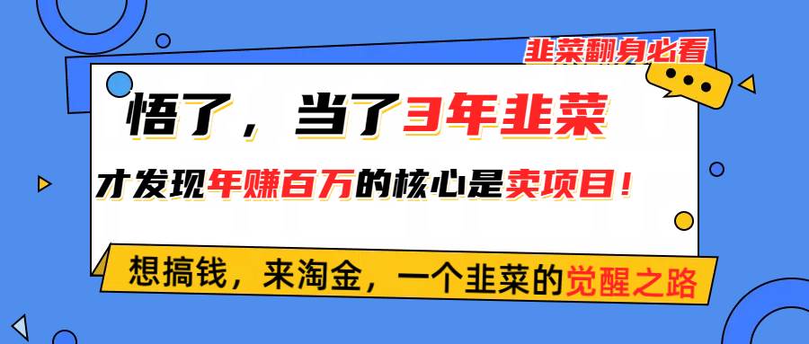 悟了，当了3年韭菜，才发现网赚圈年赚100万的核心是卖项目，含泪分享！-云阁资源网