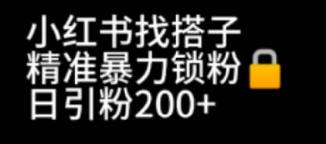 小红书找搭子暴力精准锁粉+引流日引200+精准粉-云阁资源网