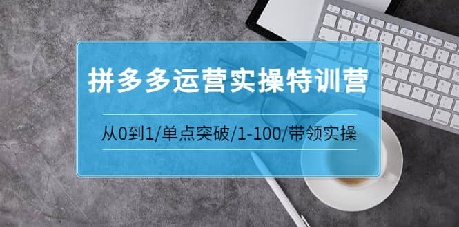 拼多多运营实操特训营：从0到1/单点突破/1-100/带领实操 价值2980元-云阁资源网