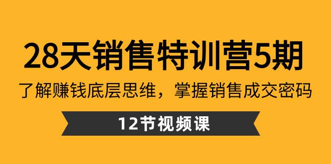 28天·销售特训营5期：了解赚钱底层思维，掌握销售成交密码（12节课）-云阁资源网