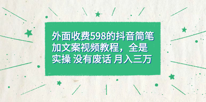 外面收费598抖音简笔加文案教程，全是实操 没有废话 月入三万（教程+资料）-云阁资源网