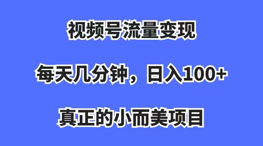 视频号流量变现，每天几分钟，收入100+，真正的小而美项目-云阁资源网