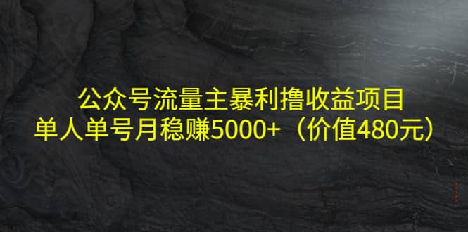 公众号流量主暴利撸收益项目，单人单号月稳赚5000+（价值480元）-云阁资源网