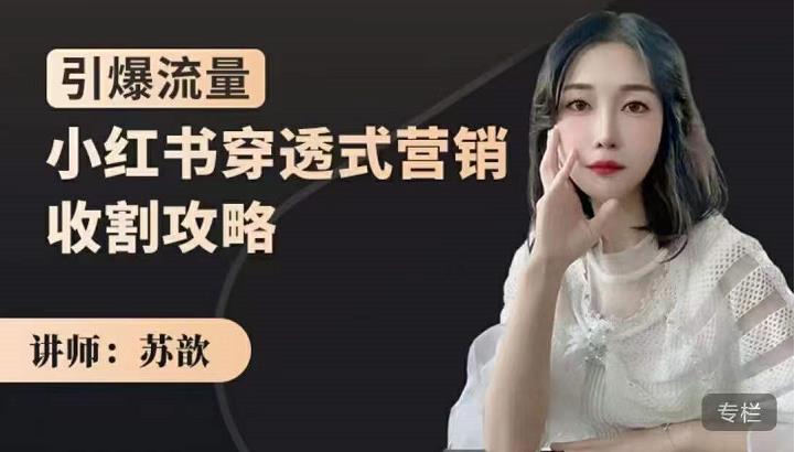 小红书穿透式营销收割攻略，引爆流量，助你玩转小红书-云阁资源网