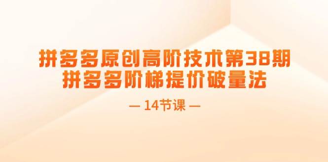 拼多多原创高阶技术第38期，拼多多阶梯提价破量法（14节课）-云阁资源网