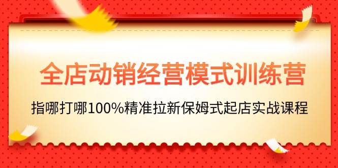 全店动销-经营模式训练营，指哪打哪100%精准拉新保姆式起店实战课程-云阁资源网