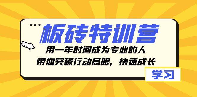 板砖特训营，用一年时间成为专业的人，带你突破行动局限，快速成长-云阁资源网