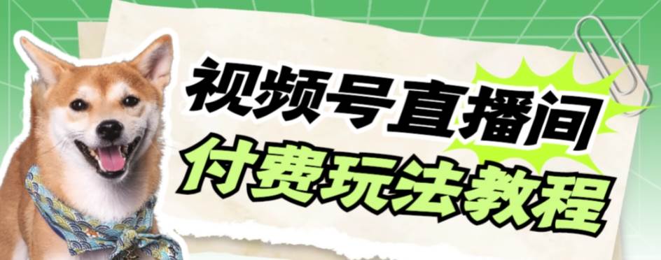 视频号美女付费无人直播，轻松日入500+【详细玩-云阁资源网