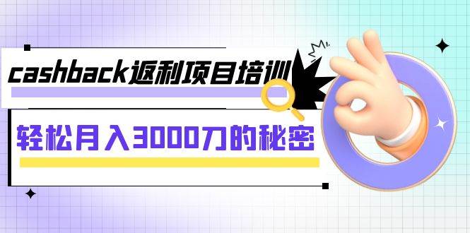 cashback返利项目培训：轻松月入3000刀的秘密（8节课）-云阁资源网