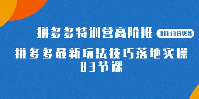 2023拼多多·特训营高阶班【9月13日更新】拼多多最新玩法技巧落地实操-83节-云阁资源网