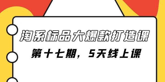 淘系标品大爆款打造课-第十七期，5天线上课-云阁资源网