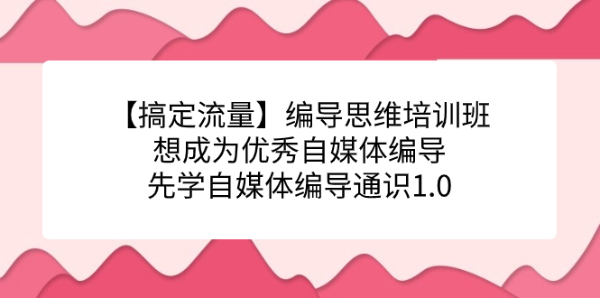 【搞定流量】编导思维培训班，想成为优秀自媒体编导先学自媒体编导通识1.0-云阁资源网