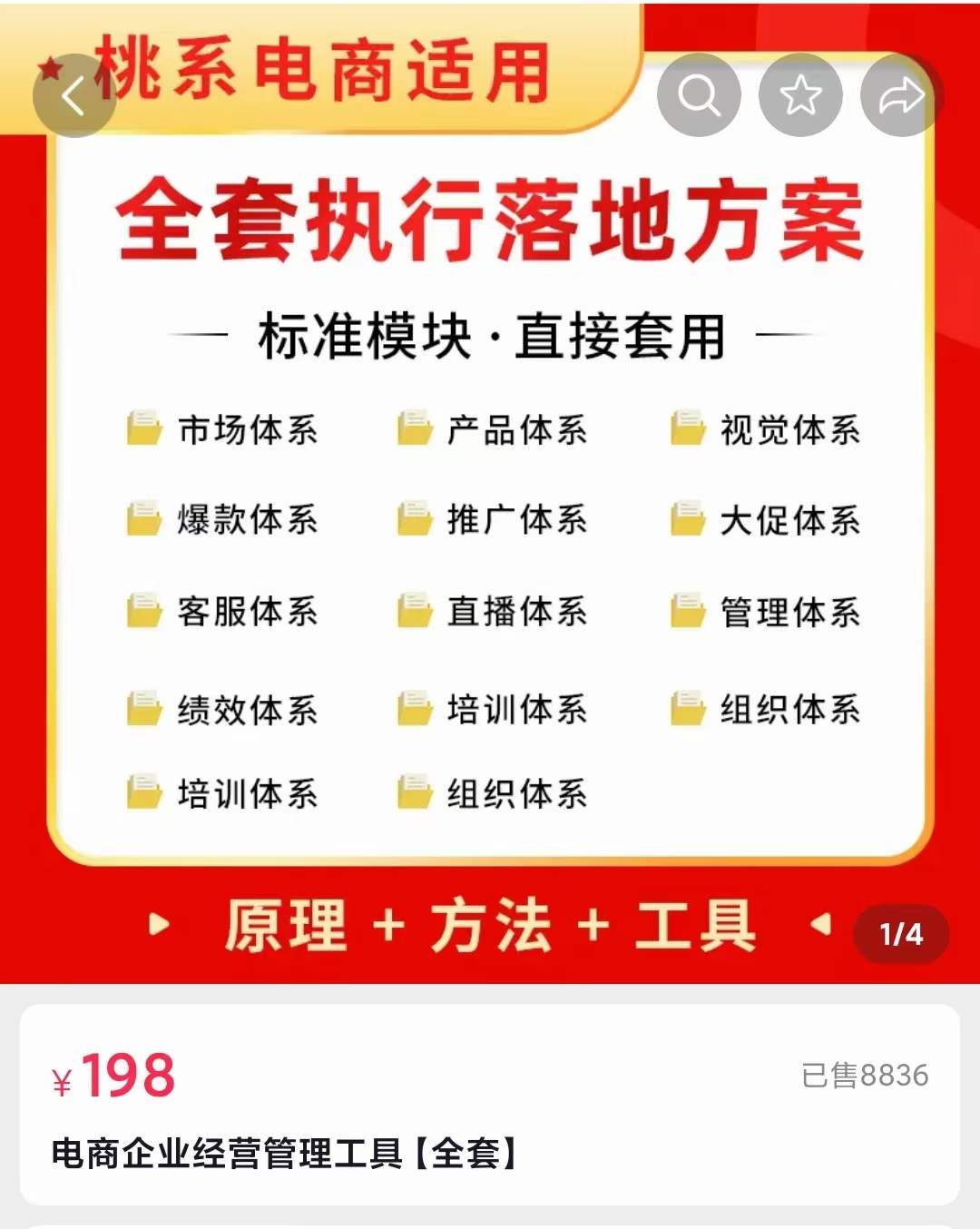 外面卖198·电商企业经营管理工具：全套执行落地方案 标准模块·直接套用-云阁资源网