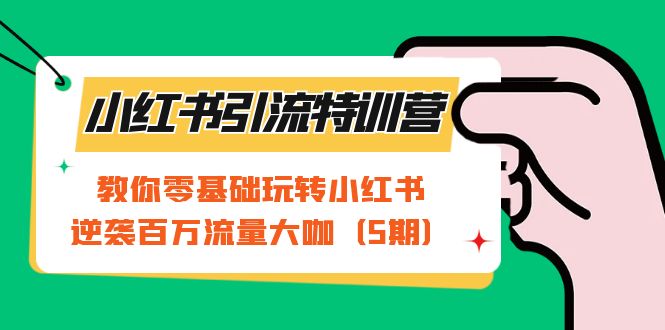 小红书引流特训营-第5期：教你零基础玩转小红书，逆袭百万流量大咖-云阁资源网