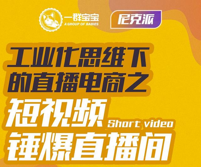 尼克派·工业化思维下的直播电商之短视频锤爆直播间，听话照做执行爆单-云阁资源网
