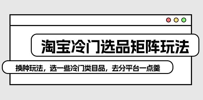 淘宝冷门选品矩阵玩法：换种玩法，选一些冷门类目品，去分平台一点羹-云阁资源网