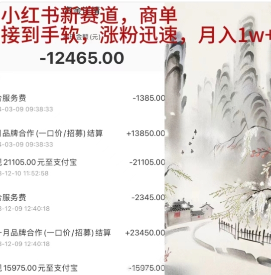 小红书新赛道，商单接到手软，涨粉迅速，一个月1w+-云阁资源网