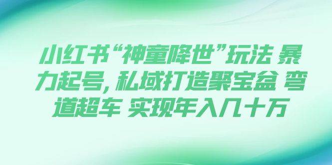 小红书“神童降世”玩法 暴力起号,私域打造聚宝盆 弯道超车 实现年入几十万-云阁资源网