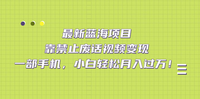 最新蓝海项目，靠禁止废话视频变现，一部手机，小白轻松月入过万！-云阁资源网