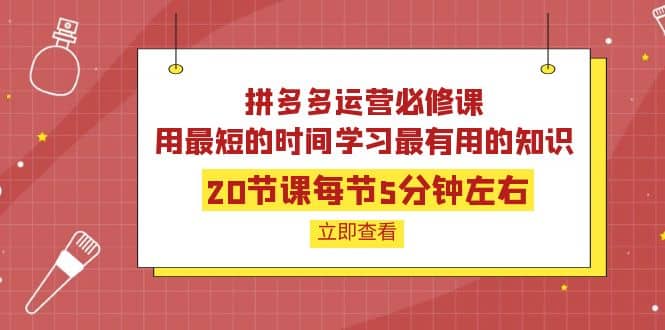 拼多多运营必修课：20节课每节5分钟左右，用最短的时间学习最有用的知识-云阁资源网
