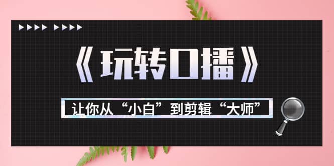 月营业额700万+大佬教您《玩转口播》让你从“小白”到剪辑“大师”-云阁资源网