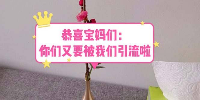 恭喜宝妈们：你们又要被我们引流了（教程+222g资料）-云阁资源网