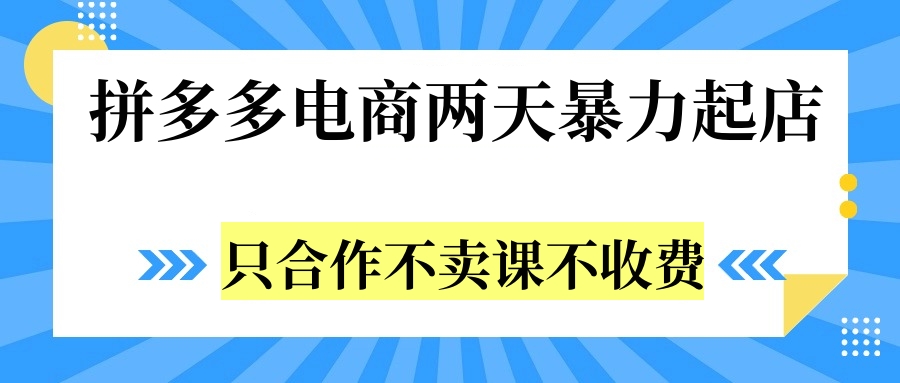 拼多多两天暴力起店，只合作不卖课不收费-云阁资源网
