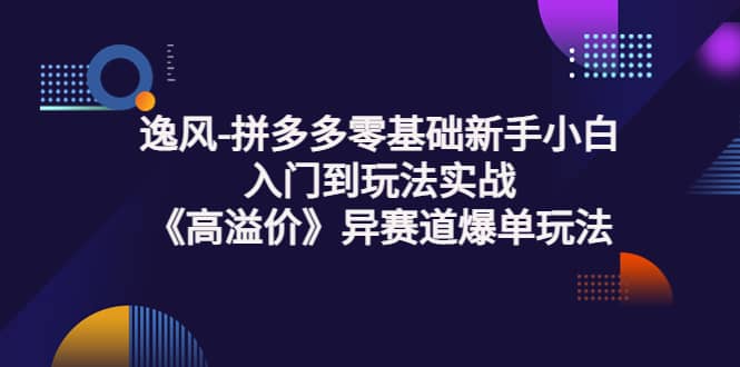 拼多多零基础新手小白入门到玩法实战《高溢价》异赛道爆单玩法实操课-云阁资源网