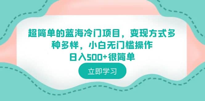 超简单的蓝海冷门项目，变现方式多种多样，小白无门槛操作日入500+很简单-云阁资源网
