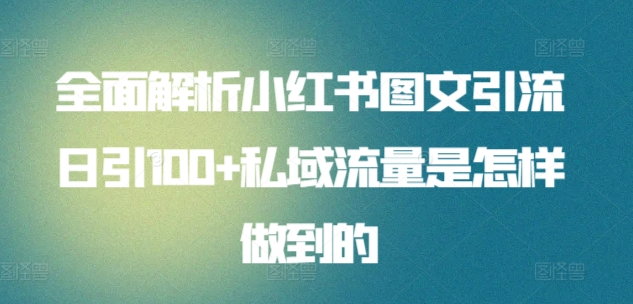 全面解析小红书图文引流日引100私域流量是怎样做到的-云阁资源网
