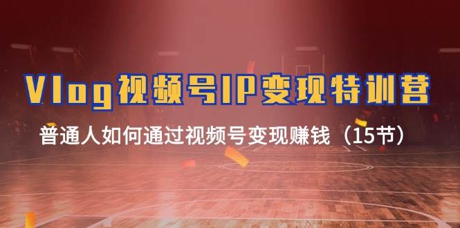 Vlog 视频号IP变现特训营，普通人如何通过视频号变现赚钱（15节）-云阁资源网
