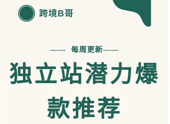 【跨境B哥】独立站潜力爆款选品推荐，测款出单率高达百分之80（每周更新）-云阁资源网
