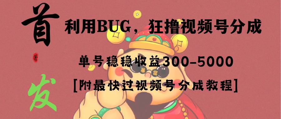 全网独家首发，视频号BUG，超短期项目，单号每日净收益300-5000！-云阁资源网