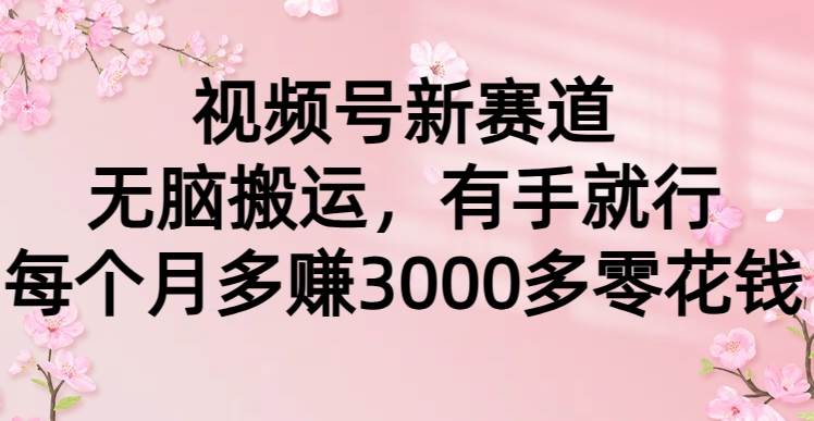 视频号新赛道，无脑搬运，有手就行，每个月多赚3000多零花钱-云阁资源网