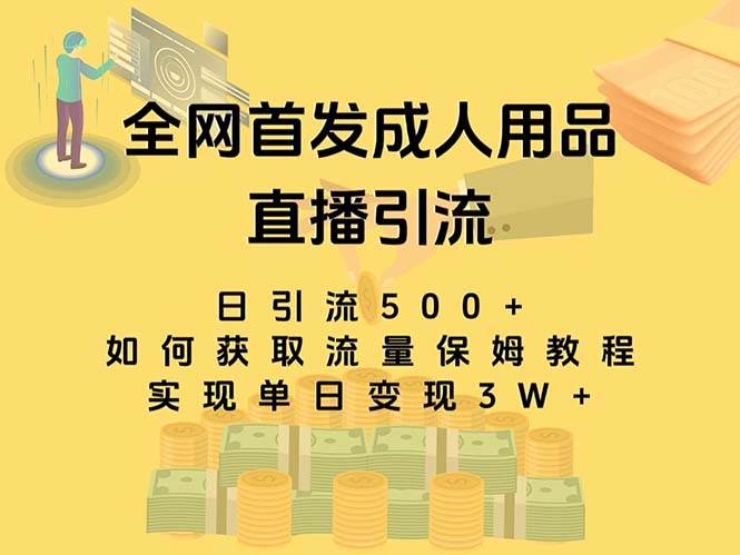 最新全网独创首发，成人用品直播引流获客暴力玩法，单日变现3w保姆级教程-云阁资源网
