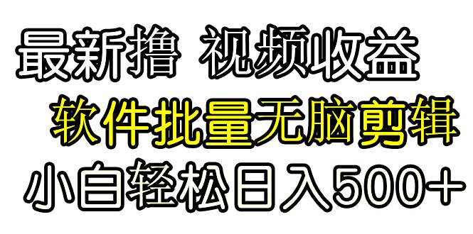 发视频撸收益，软件无脑批量剪辑，第一天发第二天就有钱-云阁资源网
