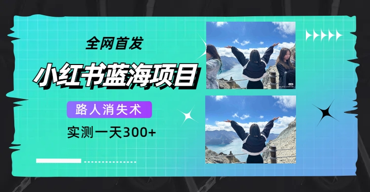全网首发，小红书蓝海项目，路人消失术，实测一天300+（教程+工具）-云阁资源网