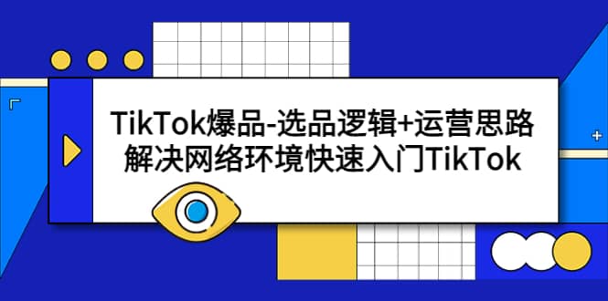 TikTok爆品-选品逻辑+运营思路：解决网络环境快速入门TikTok-云阁资源网