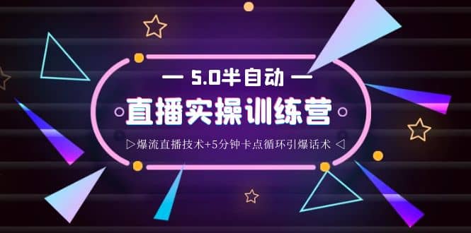 蚂蚁·5.0半自动直播2345打法，半自动爆流直播技术+5分钟卡点循环引爆话术-云阁资源网