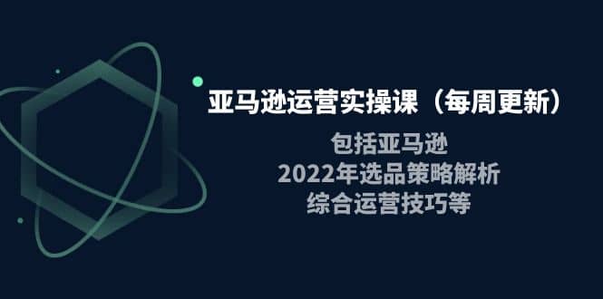 亚马逊运营实操课（每周更新）包括亚马逊2022选品策略解析，综合运营技巧等-云阁资源网