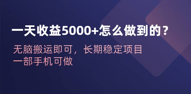 一天收益5000+怎么做到的？无脑搬运即可，长期稳定项目，一部手机可做-云阁资源网