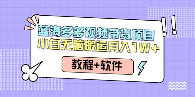 人人都能操作的蓝海多多视频带货项目 小白无脑搬运（教程+软件）-云阁资源网