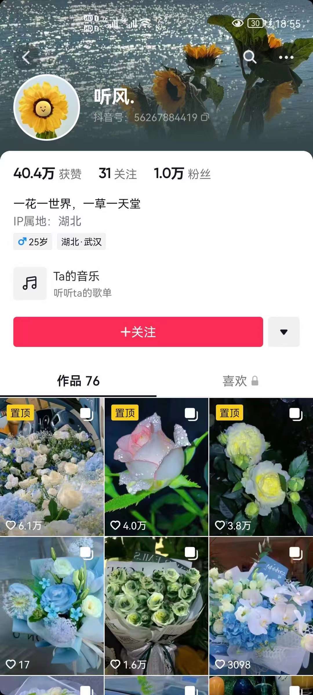 图片[2]-抖音壁纸变现项目：实战日入380+发布壁纸素材获取收益！-云阁资源网