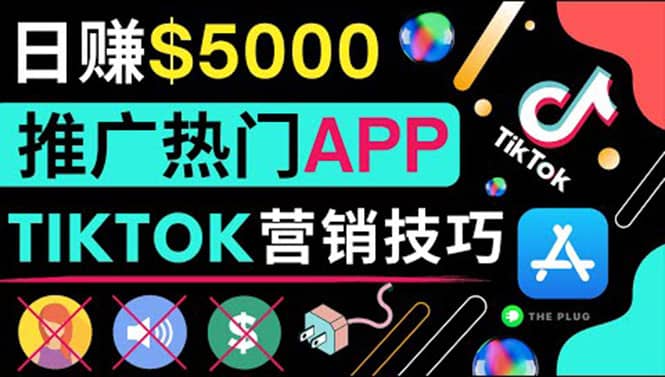 无需露脸，无需录音，无需投资，TIKTOK上传短视频，最高日入5000美元-云阁资源网