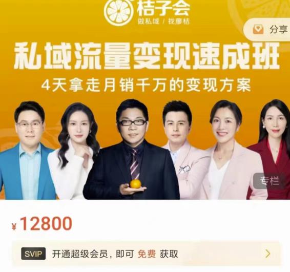 桔子会·私域流量变现速成班，4天拿走月销千万的变现方案 价值12800元-云阁资源网