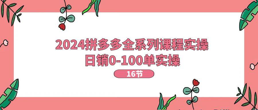 2024拼多多全系列课程实操，日销0-100单实操【16节课】-云阁资源网