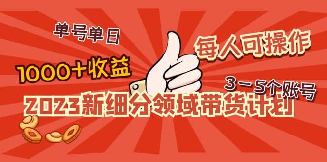 2023新细分领域带货计划：单号单日1000+收益不难，每人可操作3-5个账号-云阁资源网