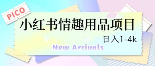 最新小红书情趣用品项目，日入1-4k-云阁资源网