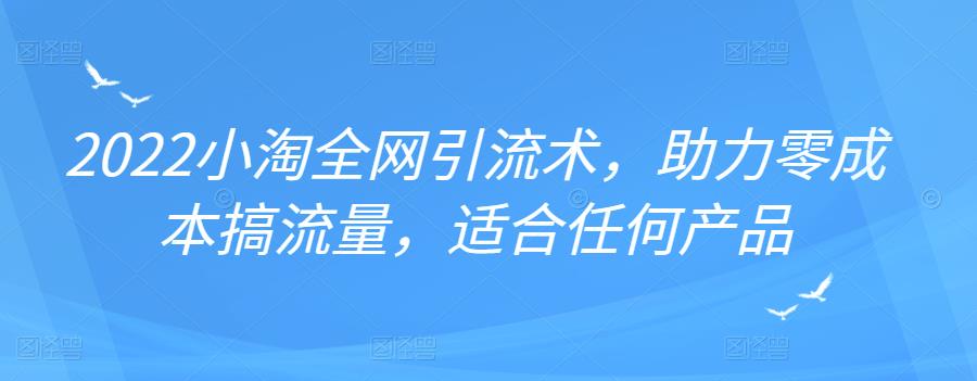 2022年小淘全网引流术，助力零成本搞流量，适合任何产品-云阁资源网